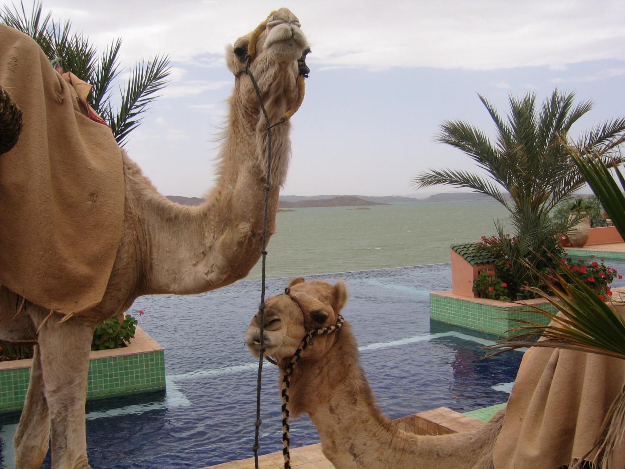 Les Tourmalines Bed & Breakfast Afeggou Bagian luar foto