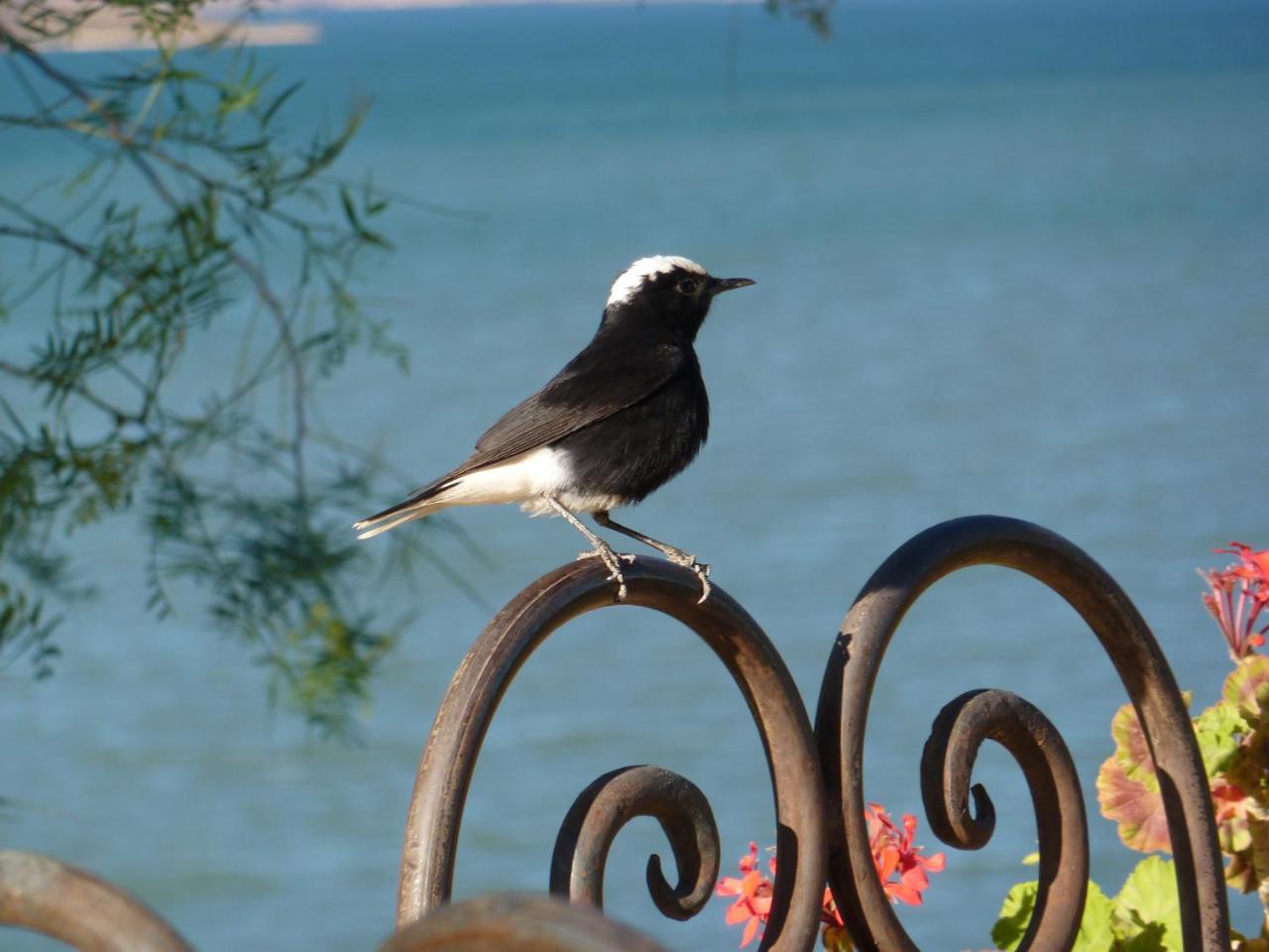 Les Tourmalines Bed & Breakfast Afeggou Bagian luar foto